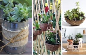 20+ netradičních květináčů, které si můžete vyrobit i vy – Bambus, kolíčky či kokos!