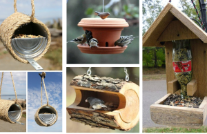 Inspirace na 20+ krásných ptačích krmítek – Pusťte se do tvoření i vy!