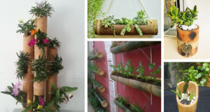 Dekorativní využití bambusu přímo u vás doma – Pusťte se do tvoření!