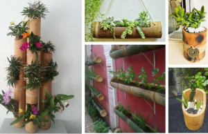 Dekorativní využití bambusu přímo u vás doma – Pusťte se do tvoření!