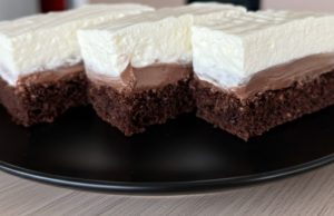 Čokoládové řezy s tvarohovo-pudinkovým krémem a šlehačkou