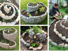 Nápady a inspirace na spirálovité skalky: Buďte připraveni na zahrádkářskou sezonu!