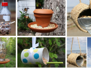 Jarní tvoření – Vyrobte si své vlastní ptačí království!