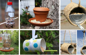 Jarní tvoření – Vyrobte si své vlastní ptačí království!