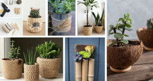 Inspirace na tvoření: Vyrobte si svůj vlastní stylový květináč!