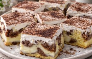 Dvoubarevná buchta s pudinkem a zakysanou smetanou: Vláčné potěšení na plech