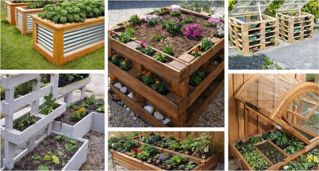 kreativní způsoby pěstování