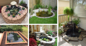 20+ originálních zahradních jezírek – Buďte připraveni na další zahrádkářskou sezonu!