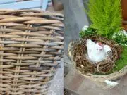 Jarní proměna zápraží: Jak vytvořit kouzelné koše, které vám budou sousedé závidět