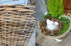 Jarní proměna zápraží: Jak vytvořit kouzelné koše, které vám budou sousedé závidět