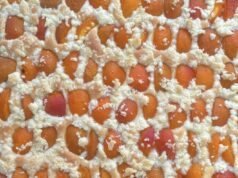 Domácí meruňkový koláč s drobenkou: Nadýchaná klasika, která provoní dům Rychlý meruňkový koláč s máslovou drobenkou