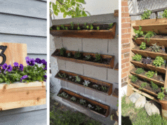 Inspirace na krásný nástěnný květináč ze dřeva – Pusťte se do jarního tvoření!