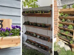 Inspirace na krásný nástěnný květináč ze dřeva – Pusťte se do jarního tvoření!