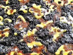 Chodský koláč na plech: Tradiční poklad s bohatým zdobením a vůní rumu Chodský koláč s tvarohem, mákem a rozinkami na plechu.“