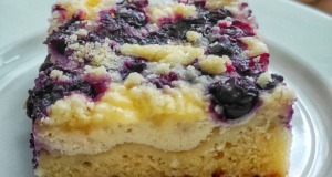 Vláčný borůvkový koláč s tvarohem a jogurtem: Rychlovka, která se rozplývá na jazyku