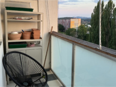 Holubi se nám stále vracejí na balkon: Jak omezit jejich posedávání a nepořádek