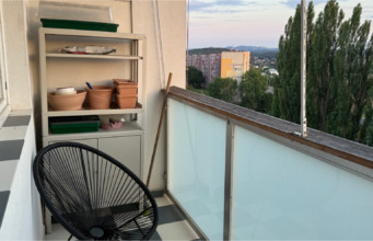 Holubi se nám stále vracejí na balkon: Jak omezit jejich posedávání a nepořádek