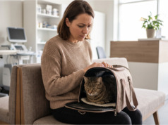 Naší kočce udělal veterinář zbytečná vyšetření za tisíce. Když jsem chtěla zprávu pro jiného lékaře, odmítl mi ji vydat