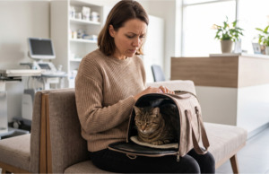 Naší kočce udělal veterinář zbytečná vyšetření za tisíce. Když jsem chtěla zprávu pro jiného lékaře, odmítl mi ji vydat