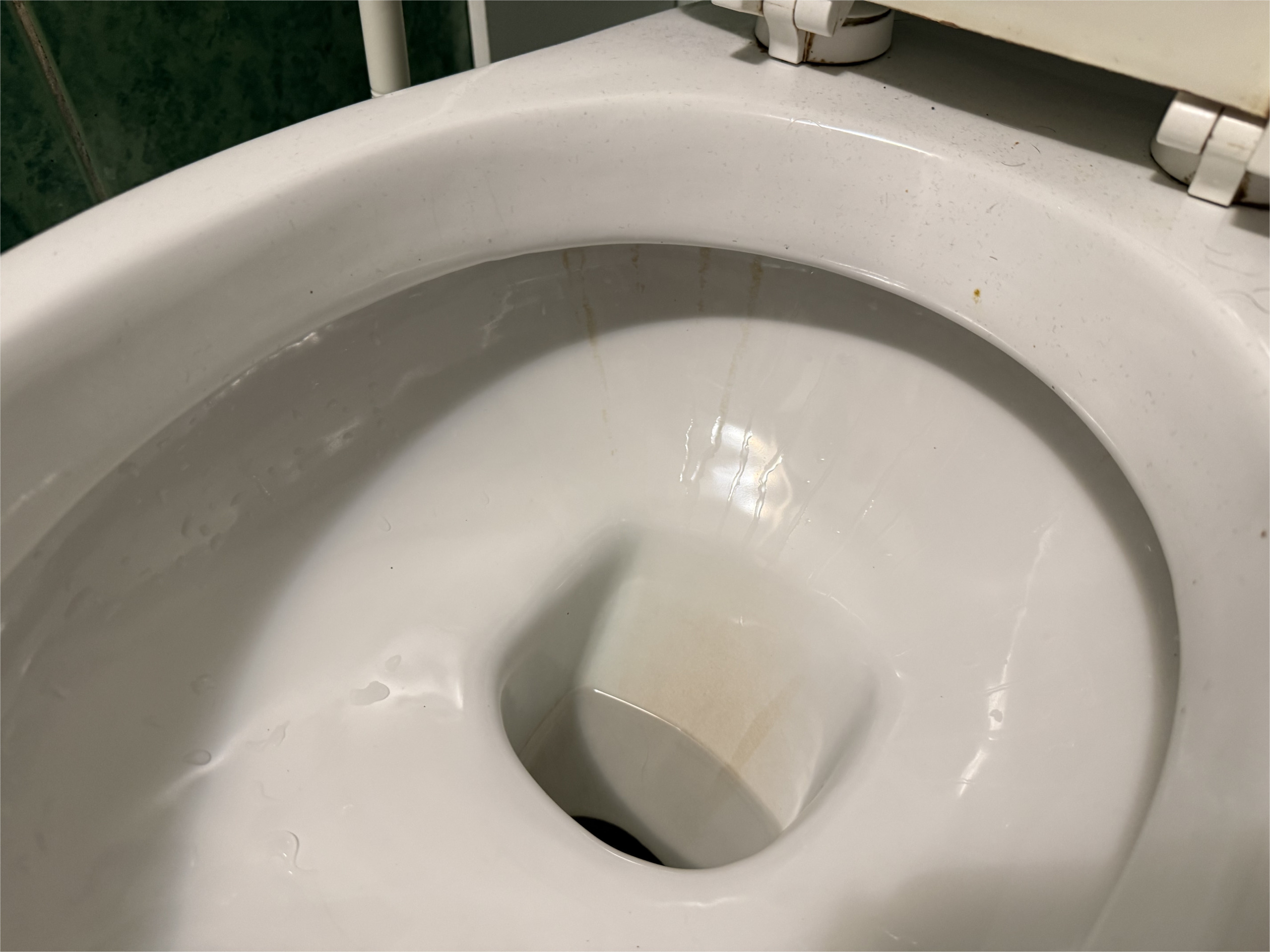 Usazeniny a vodní kámen na dně WC mísy