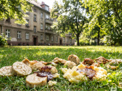Soused vyhazuje z okna staré knedlíky a omáčky přímo na trávník. Stahují se tam potkani a prý nebude vyhazovat jídlo do popelnice