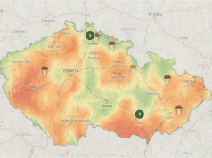 Velká houbařská mapa Česka: Kde v červenci plnit koše a která místa naopak zejí prázdnotou?