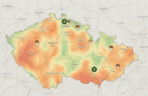 Velká houbařská mapa Česka: Kde v červenci plnit koše a která místa naopak zejí prázdnotou?