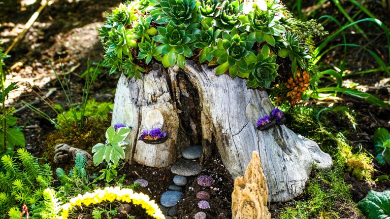Tree stump ideas: 9 creative ways to give them a new lease of life | GardeningEtc